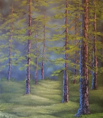 Paysages